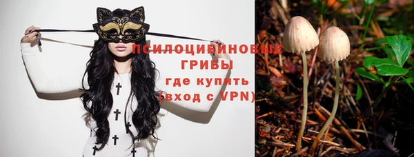 героин Каменка
