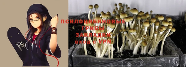 хмурый Иннополис