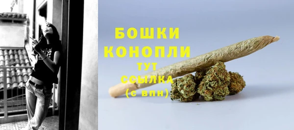хмурый Инсар