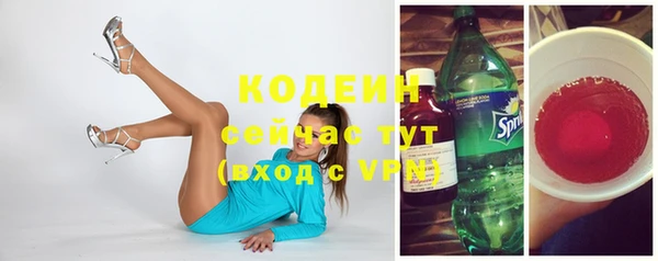 хмурый Инсар