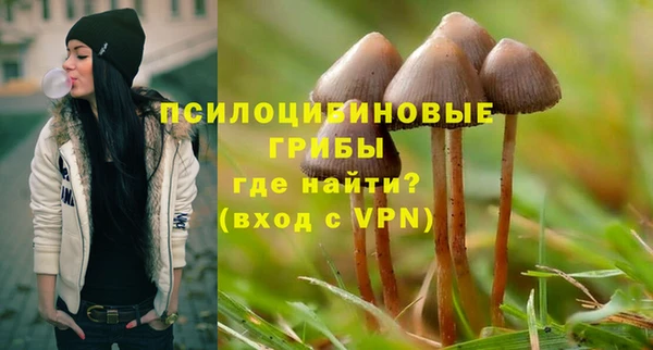 хмурый Иннополис