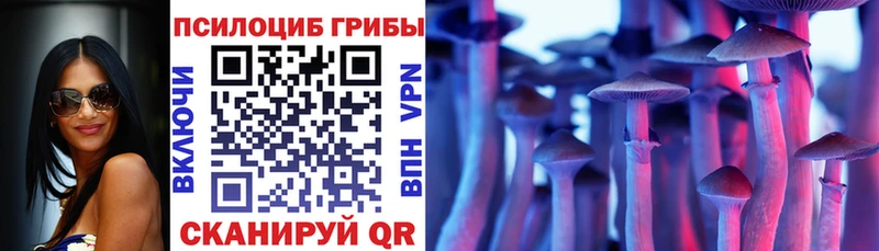 Галлюциногенные грибы Psilocybine cubensis  Нестеровская 